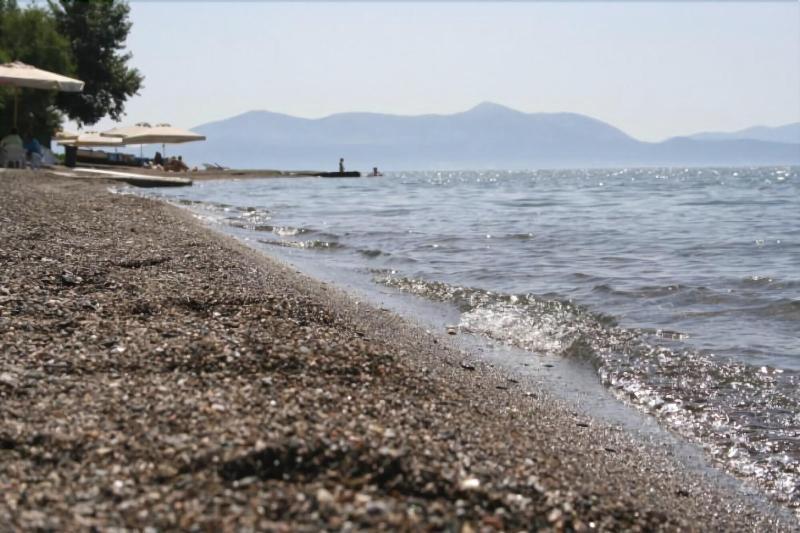 Posidonia Pension Amarynthos Exteriér fotografie