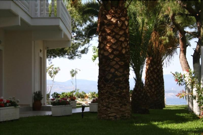 Posidonia Pension Amarynthos Exteriér fotografie