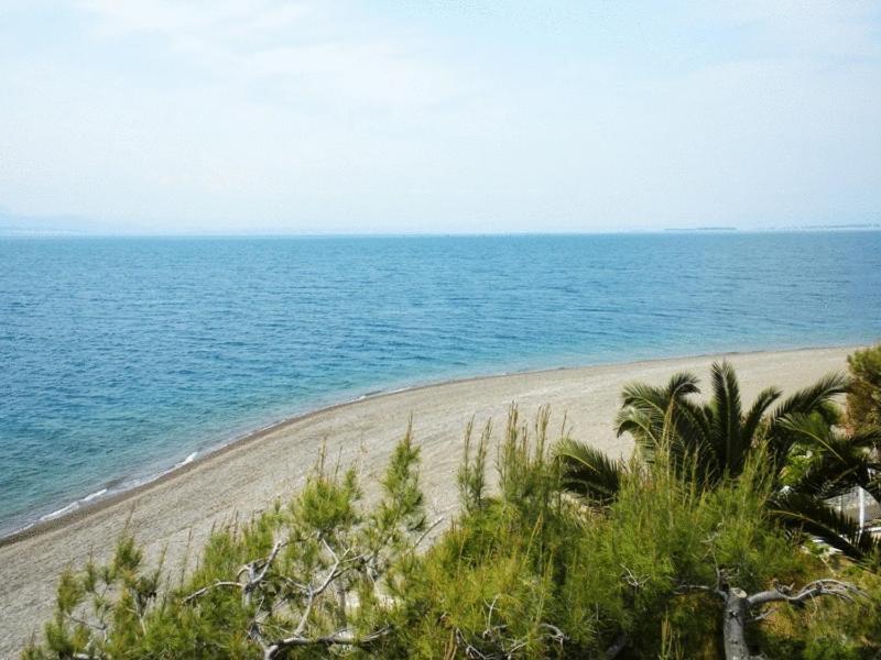 Posidonia Pension Amarynthos Exteriér fotografie