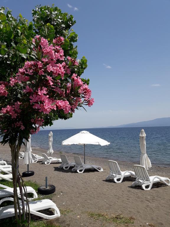 Posidonia Pension Amarynthos Exteriér fotografie